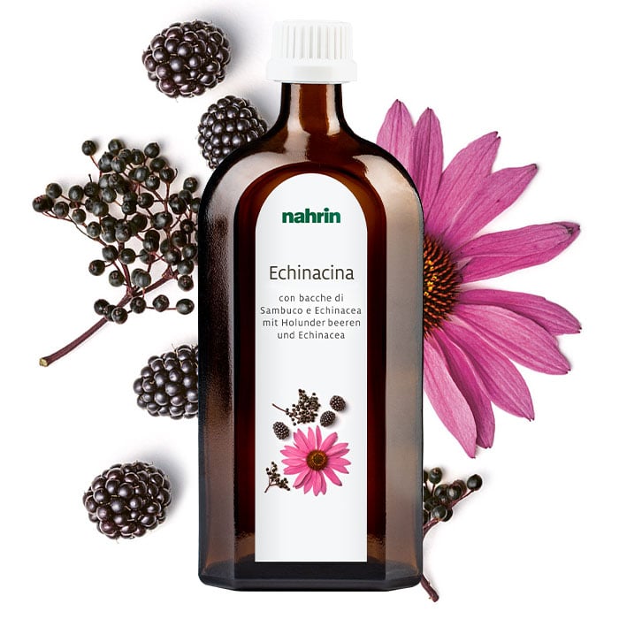 Echinacina
