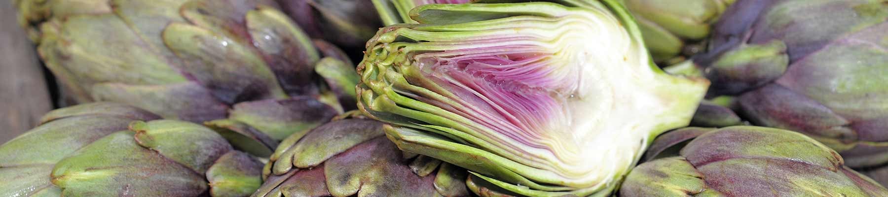 artischocke-header